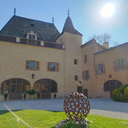 Chateau De La Venerie Denicé Екстериор снимка