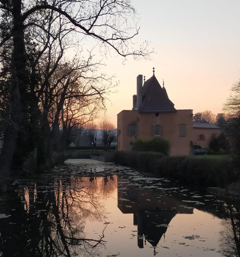 Chateau De La Venerie Denicé Екстериор снимка