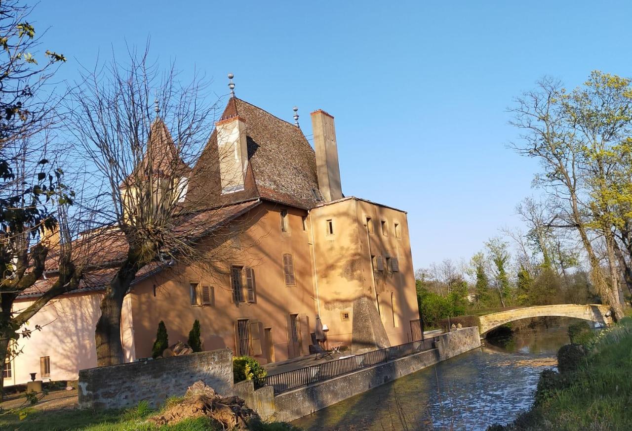 Chateau De La Venerie Denicé Екстериор снимка