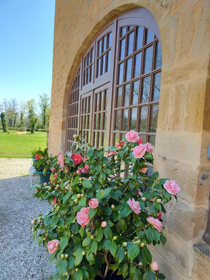 Chateau De La Venerie Denicé Екстериор снимка