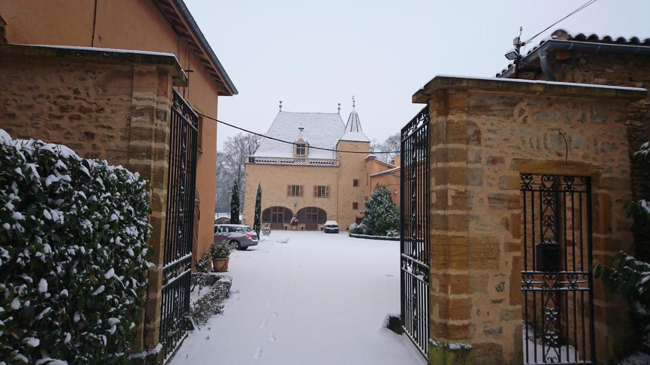 Chateau De La Venerie Denicé Екстериор снимка